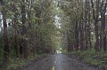 20101203_105138 D3